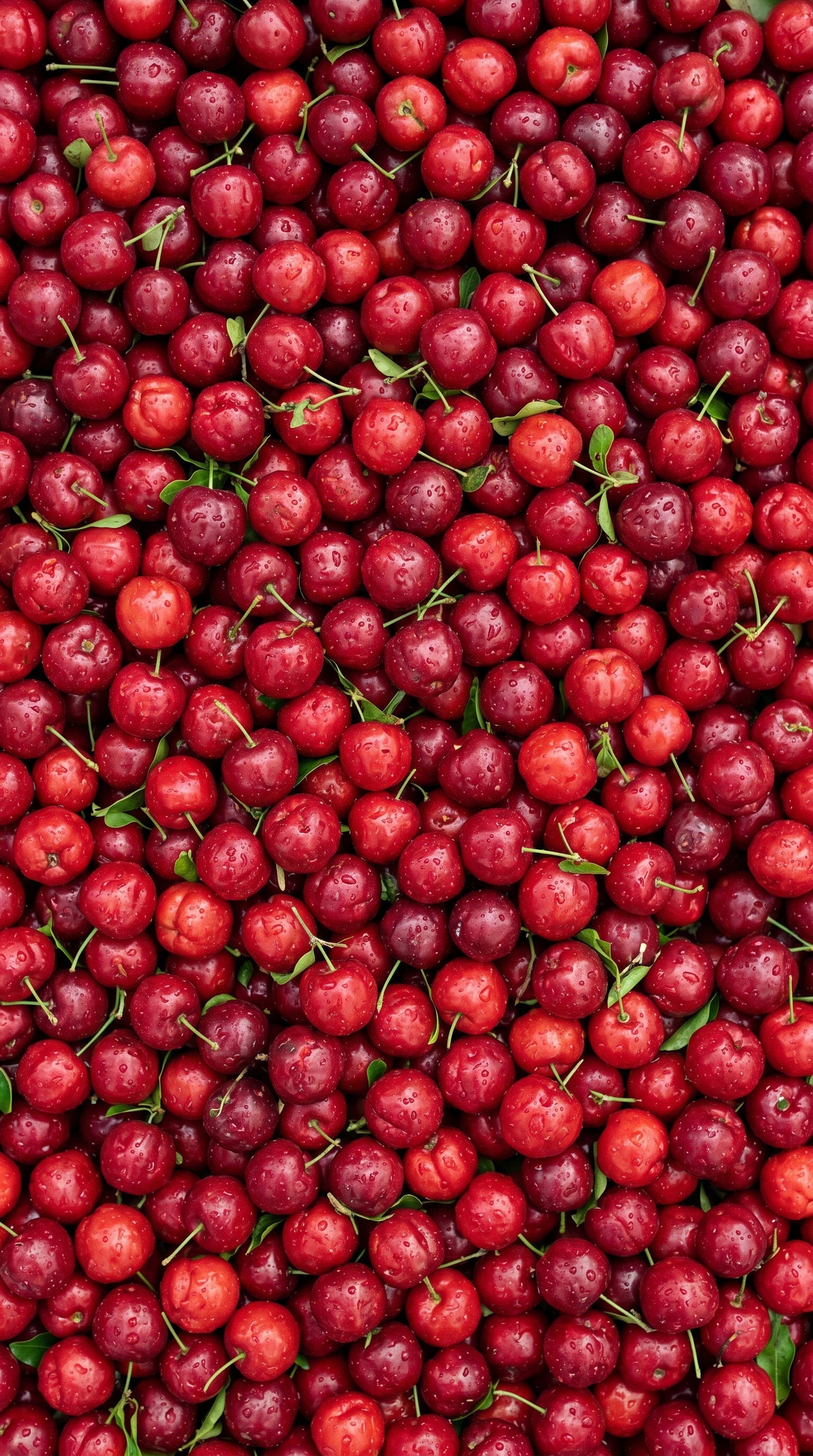 Cherries-1.jpg